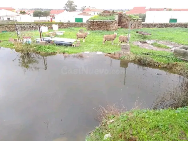 TERRENO CON CHARCA Y VARIAS construcciones EN SALORINO - foto 2