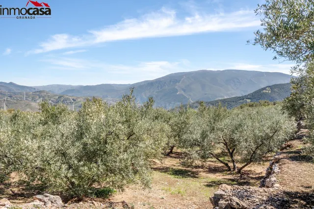 TERRENO EN PINOS DEL VALLE - foto 3