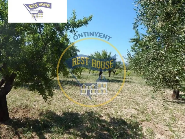 ¡OPORTUNIDAD! CHALET PRÓXIMO A LA POBLACIÓN DE ONTINYENT(VALENCIA) — 6