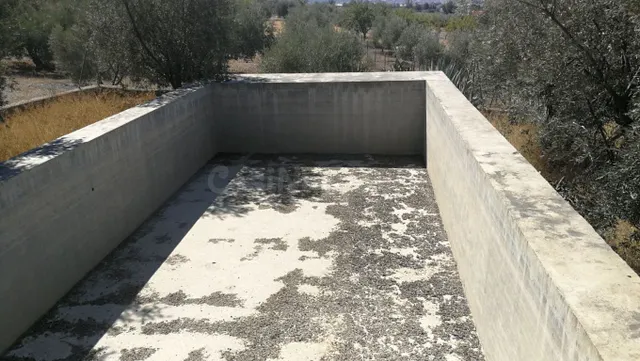 Solar en venta - Padul - foto 4