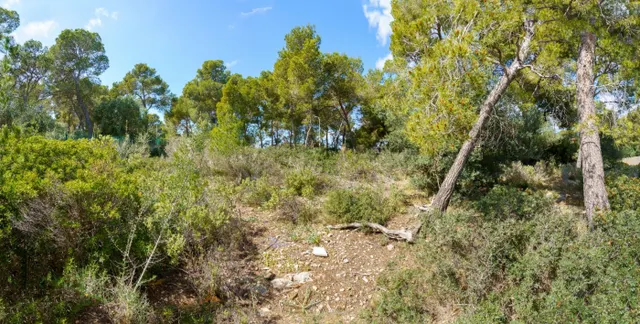 Solar edificable con proyecto en Cala Vinyes — 5