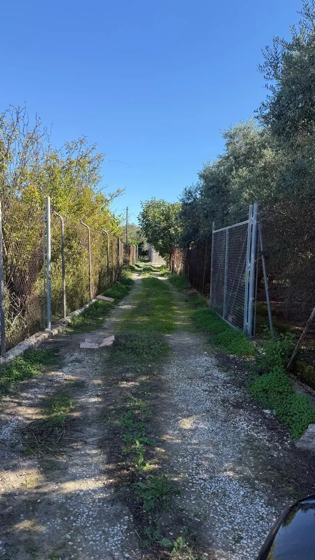 Casa de Campo con parcela en La Alberca, Murcia - Oportunidad Única — 29