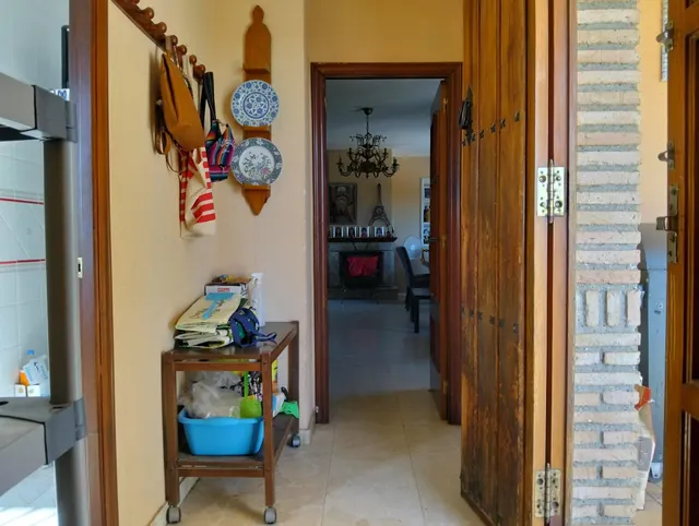 E ✨ chalet exclusivo en La Carlota | 478 m2 + 2.300 m2 de parcela | piscina privada y pozo — 8