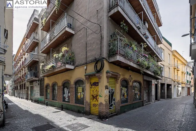 Junto San Antón — 18