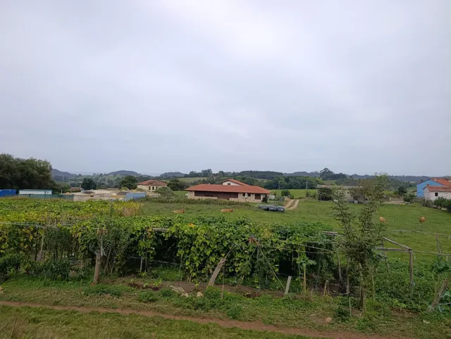 Terreno Rústico en venta - Noriega — 10
