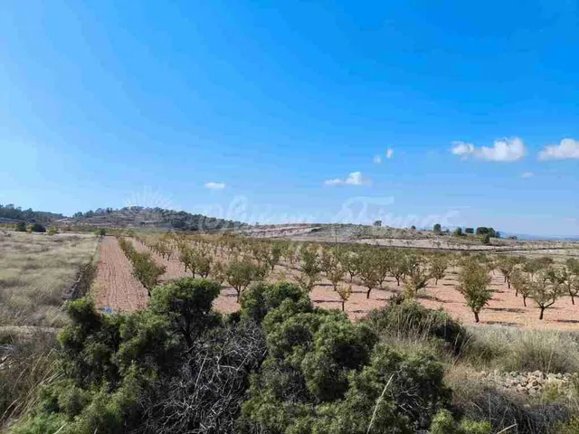 Suelo rústico en Venta en Jumilla Murcia — 7