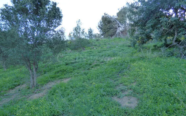Parcela en venta - Centro — 4