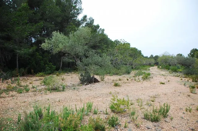 Finca rústica en venta - Afueras del pueblo — 8