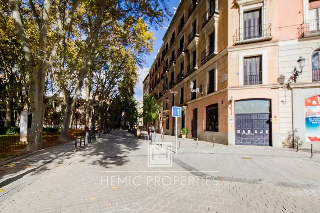 Vivir la Ópera de Madrid — 32