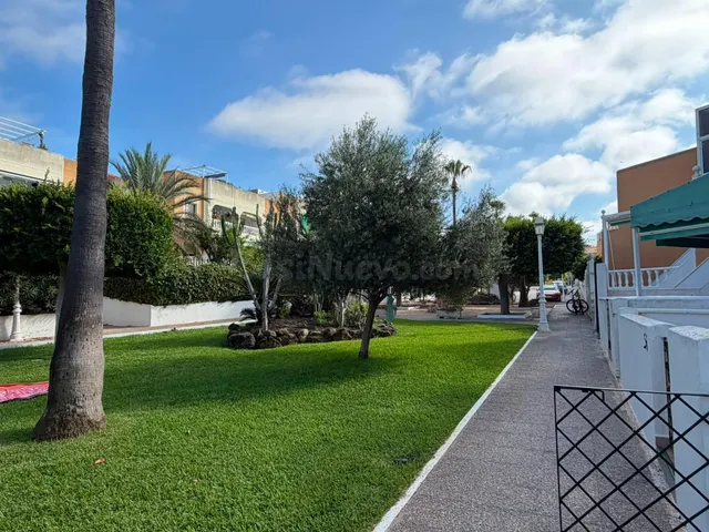 EXCELENTE BUNGALOW EN  TORREVIEJA , LA MATA — 4