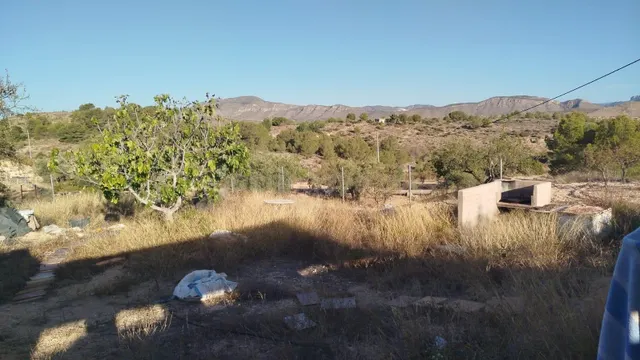 PARCELA CON CASA DE APEROS DE 9 METROS + UNA PORCHADA DE 24  - foto 5