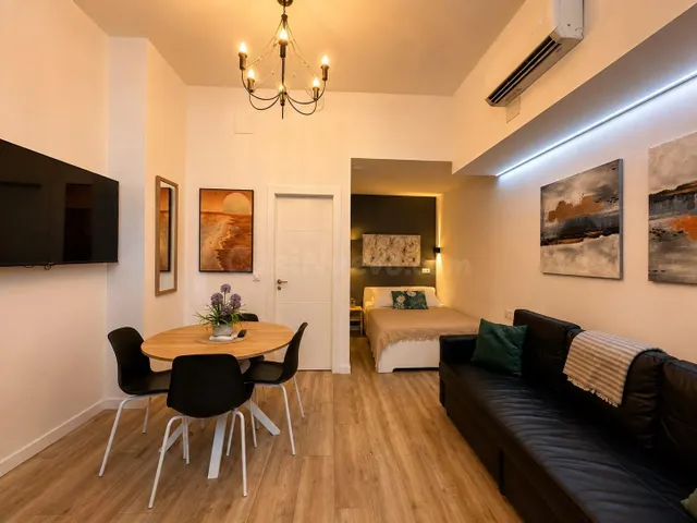 Cartera de 8 locales turísticos en funcionamiento – inversió - foto 4