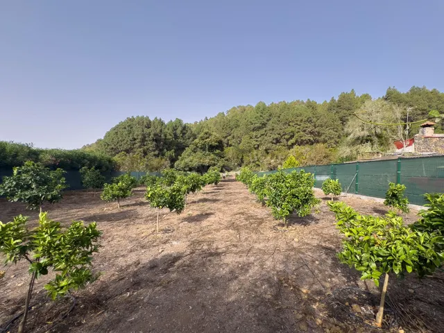 Finca rústica de 5.330 m2 con construcción de 94 m2 en La Florida — 21