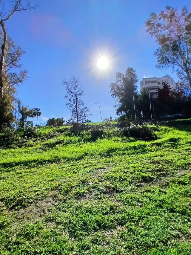 Terreno edificable con licencia en Guadalmina Marbella — 5