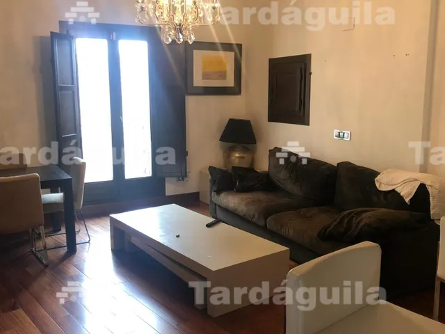 EXCLUSIVA VIVIENDA EN EL CENTRO HISTORICO CON VISTAS ESPECTA - foto 5