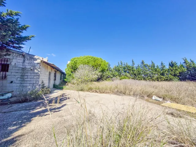 SE VENDE ESPECTACULAR PARCELA CON NAVE REGISTRADA , SEGREGAD - foto 2