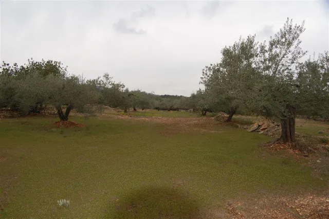 Finca rústica en venta - Afueras del pueblo — 7