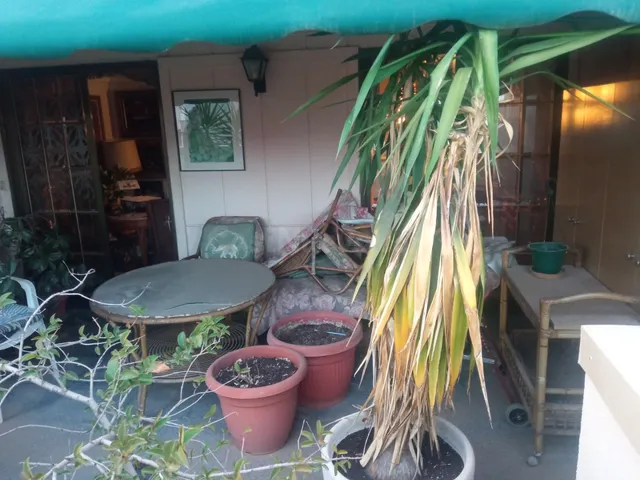 Ático en venta Alcoy - Avenida Alameda - foto 4