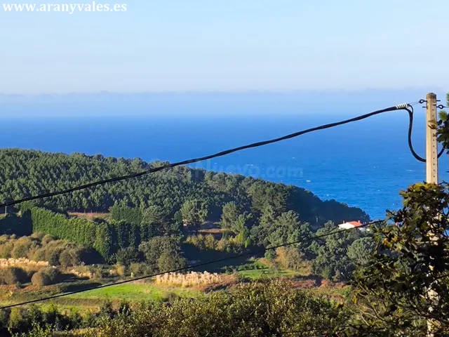 Finca de 19000m2 con 1000 m2 urbanos - foto 4