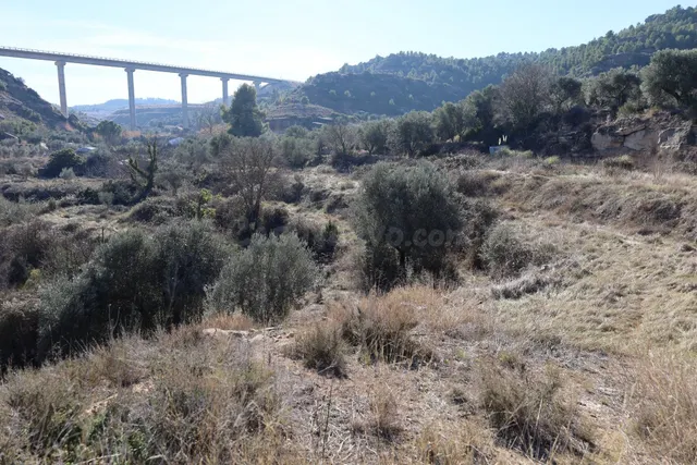 TERRENO EN VENTA EN ALCAÑIZ. Ref TR08102023 - foto 3