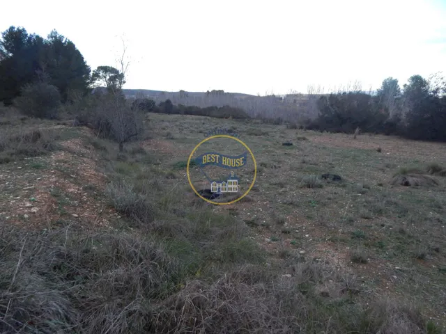 OPORTUNIDAD DOS PARCELAS A LA VENTA EN OLLERIA — 2