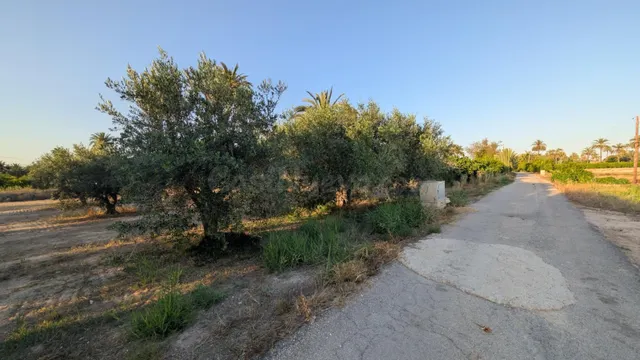 ¡OPORTUNIDAD DE PARCELA EN CARRETERA DE DOLORES CERCANA AL R - foto 4
