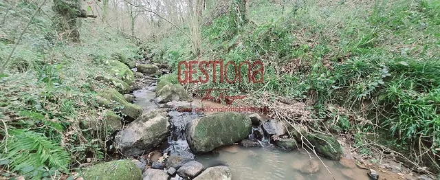 CABAÑA CON ARROYO,  PROYECTO Y CAMBIO DE USO EN LLANOS. PENAGOS — 7