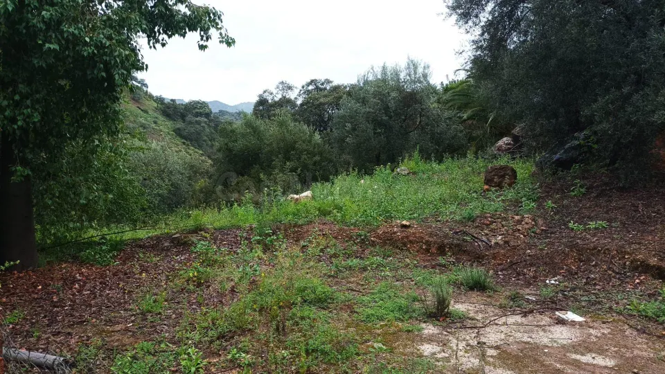 Finca rústica a la venta en Comares