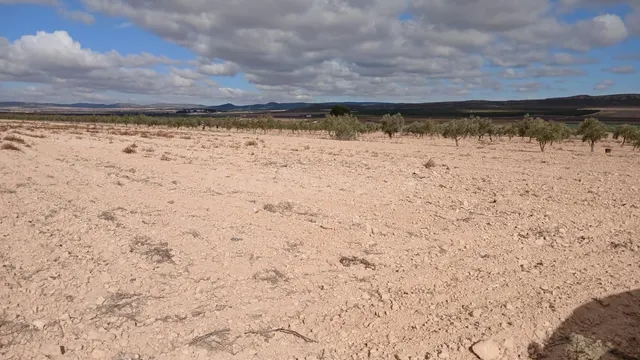 Parcela en venta - Yecla — 3