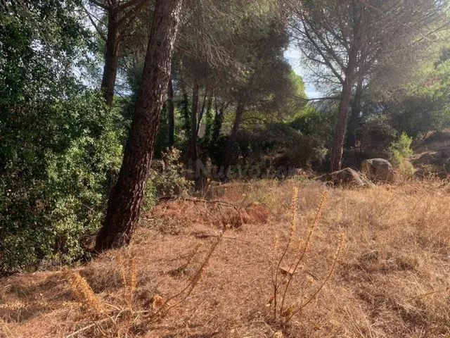 ZONA LAS JARAS - Parcela urbana de terreno de 1.500 m2 con p