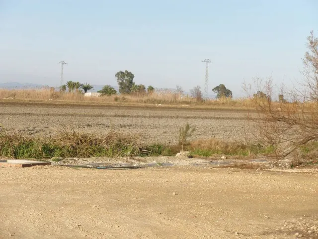 TIERRA DE ARROZ EN VENTA - foto 3