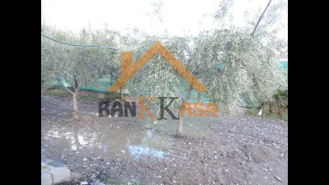 SE VENDE CASA CON TERRENO EN CHERÍN (UGÍJAR) PROVINCIA DE GRANADA — 43