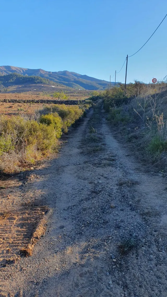 SE VENDE VIÑEDO EN VILAFLOR — 9