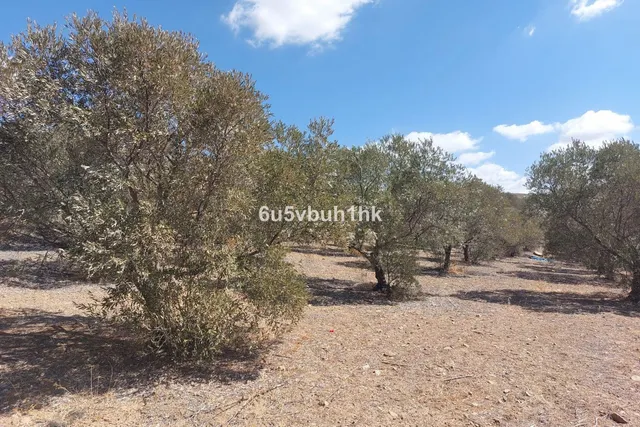 Parcela en venta - Alora pueblo — 19