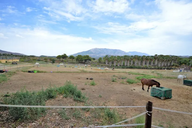 Finca rústica 9 habitaciones 869m² en venta - Riviera del sol — 20
