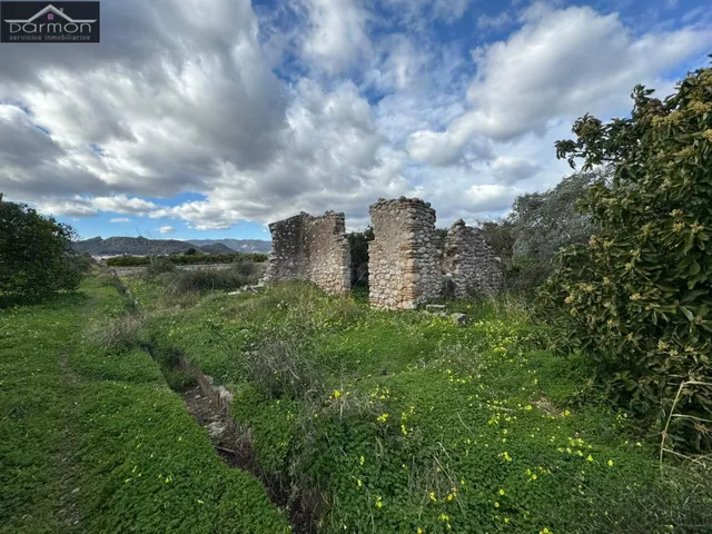 Oportunidad de Inversión: Terreno Rural en Palma de Gandia - foto 4