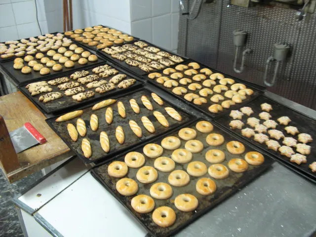 TRASPASO DE HORNO  BOLLERÍA  EN EL BOTANIC — 39