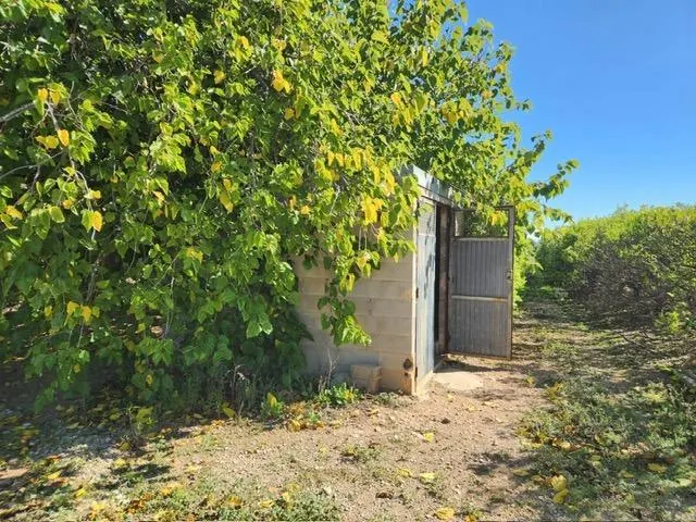 Fantástico terreno de naranjos — 3