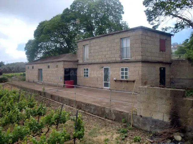 SE VENDE TERRENO EN EXPLOTACIÓN Y VIVIENDA - foto 3