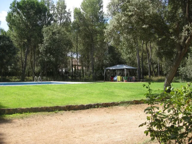 OPORTUNIDAD PARCELA EN LA LOS PINARES DEL JUCAR - foto 3