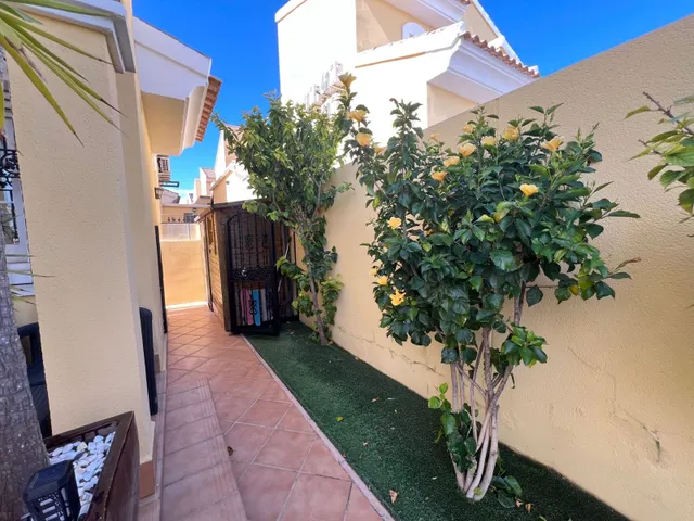 Villa 3 habitaciones 142m² en venta - Lomas de Cabo Roig-Los Dolses — 39