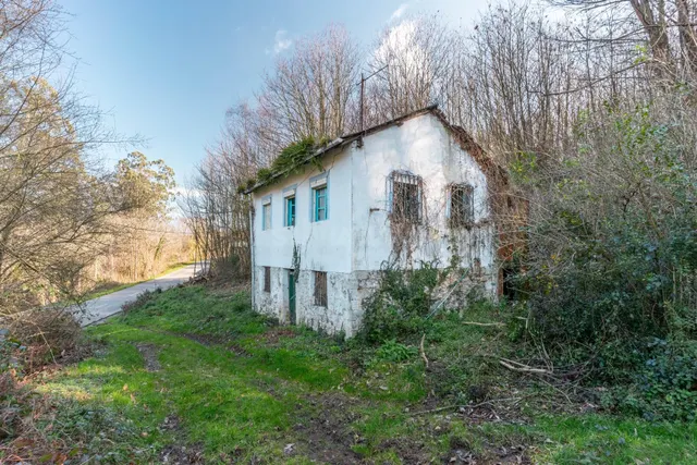 Oportunidad real: casa con parcela para rehabilitar en Tineo - foto 2