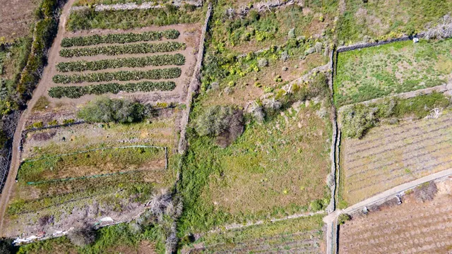 Suelo Rústico de Protección Agraria - foto 4