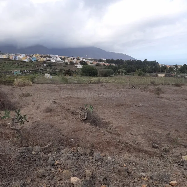 Se vende terreno en La Perdoma, La Orotava - foto 4