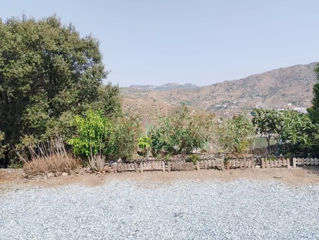Casa en venta en el borge con parcela de unos 4000 mts con piscina — 14