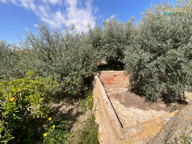 CASA PARA REFORMAR EN LOS CANOVAS, FUENTE ALAMO — 33