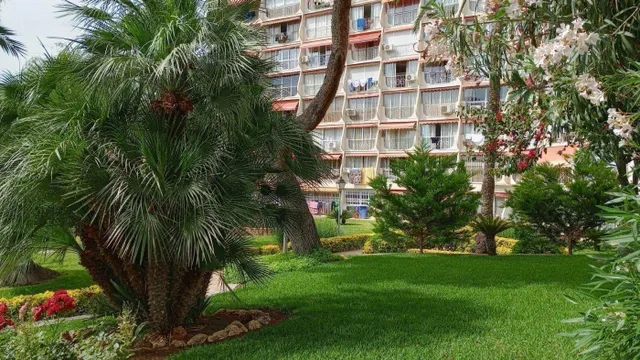Apartamento reformado con 1 dormitorio en zona Rincon de loix — 13