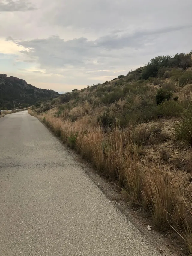TERRENO EN LA MONTAÑA DE CREVILLENTE - foto 2