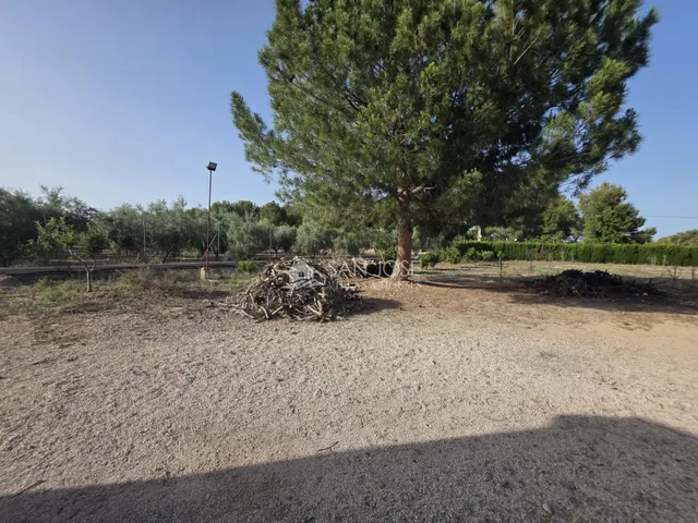 Venta de chalet en Aspe, zona la ofra — 26