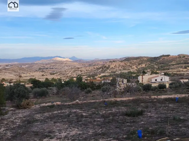APIHOUSE VENDE TERRENO GRAN TERRENO URBANO EN ASPE. PRECIO 1 - foto 5